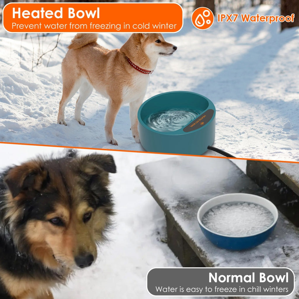 Heated water bowl features