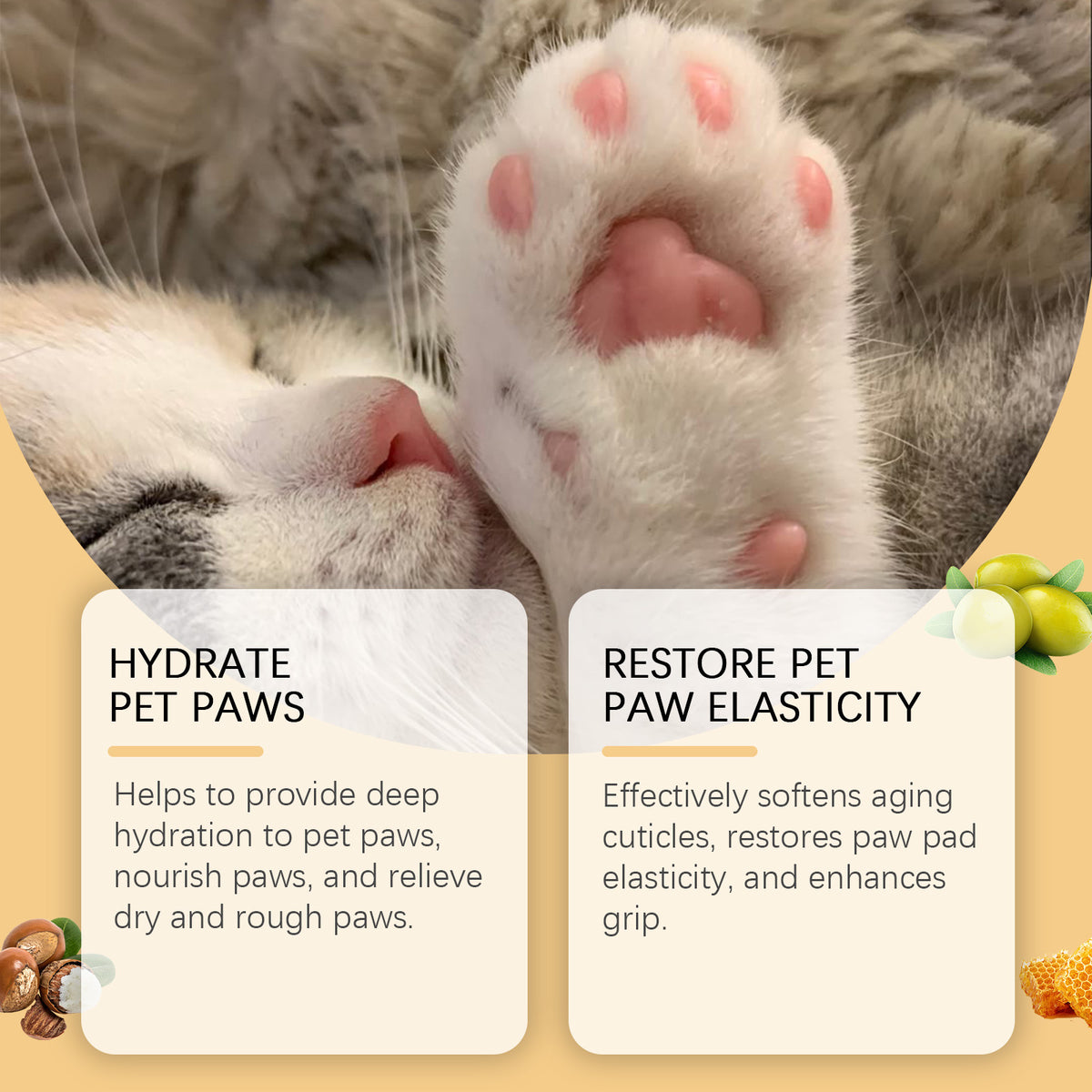 Paw balm application on dog paw